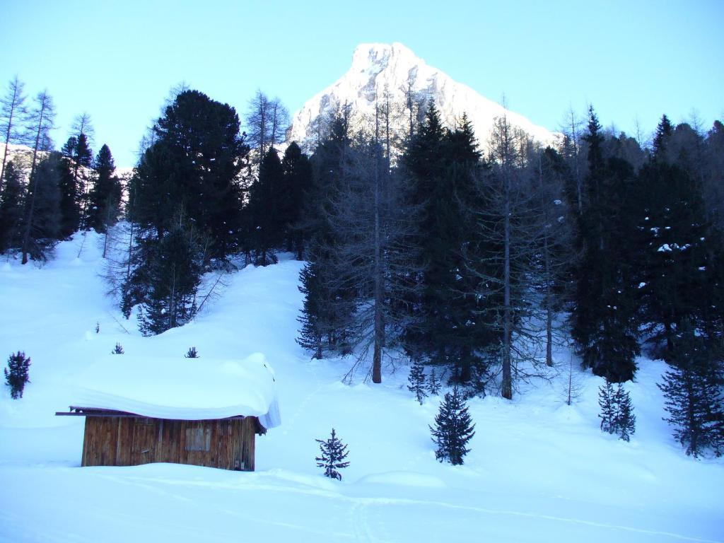 Hotel El Geiger Pozza di Fassa Esterno foto